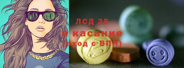 прущая мука Вяземский