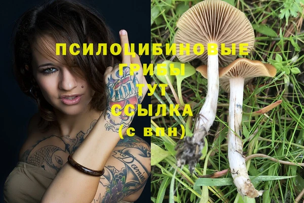 спиды Заволжье