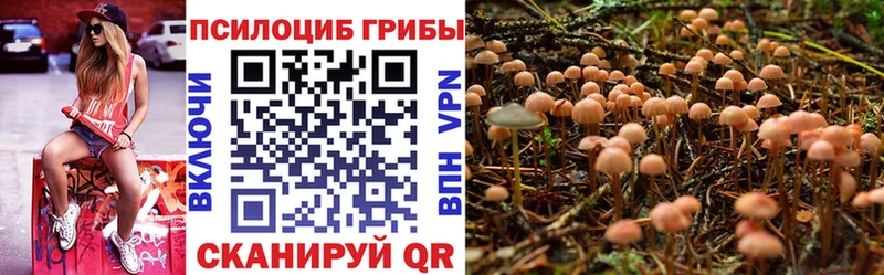 Псилоцибиновые грибы Psilocybe  Урень 