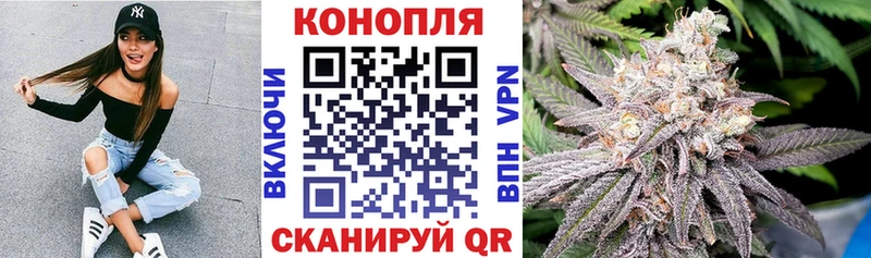 кракен рабочий сайт  цена наркотик  Урень  Марихуана ГИДРОПОН 